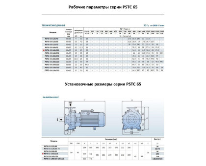 Насосный агрегат моноблочный фланцевый PURITY PSTC 65-160/110