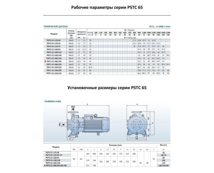 Насосный агрегат моноблочный фланцевый PURITY PSTC 65-200/185